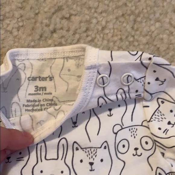 NWTS - Picture 4 of 5